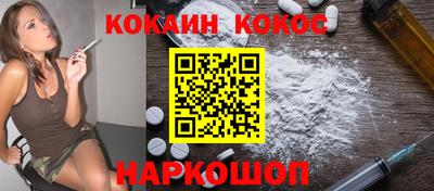 крисы Шебекино