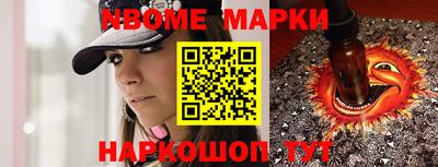 крисы Шебекино
