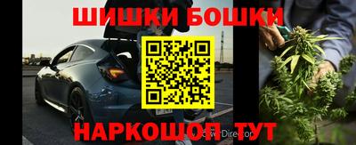 крисы Шебекино