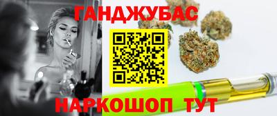 крисы Шебекино