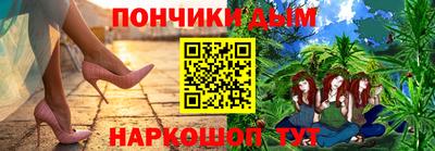 крисы Шебекино