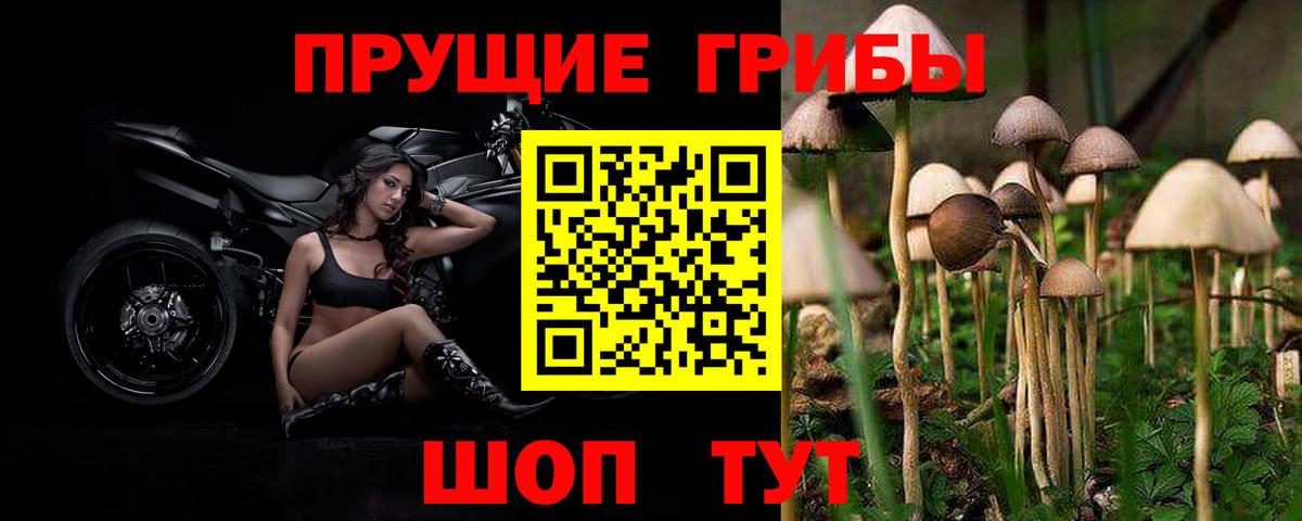 Галлюциногенные грибы мицелий  Вход с VPN  Азнакаево 
